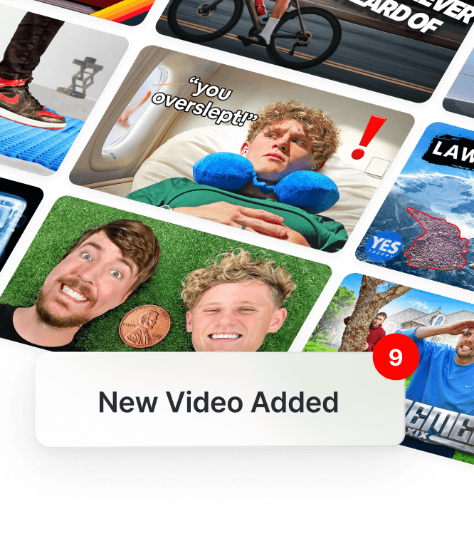 Never miss a beat with Alerts