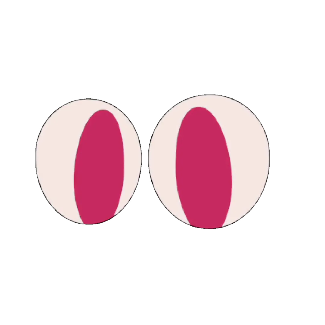 o1 eyes